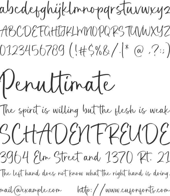 Realistic Feather font preview