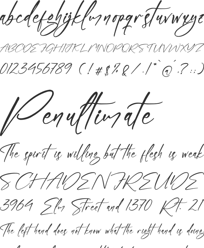 Penttanylon font preview