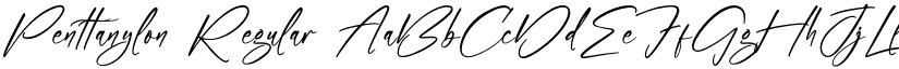 Penttanylon font download
