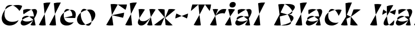 Calleo Flux-Trial Black Italic font