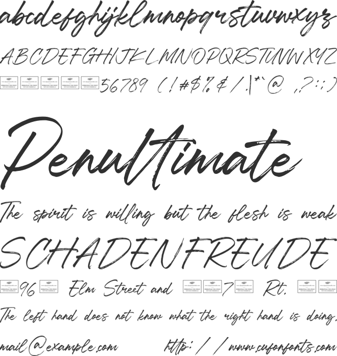 Charlotte font preview