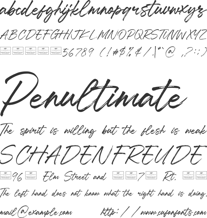 Charlotte font preview