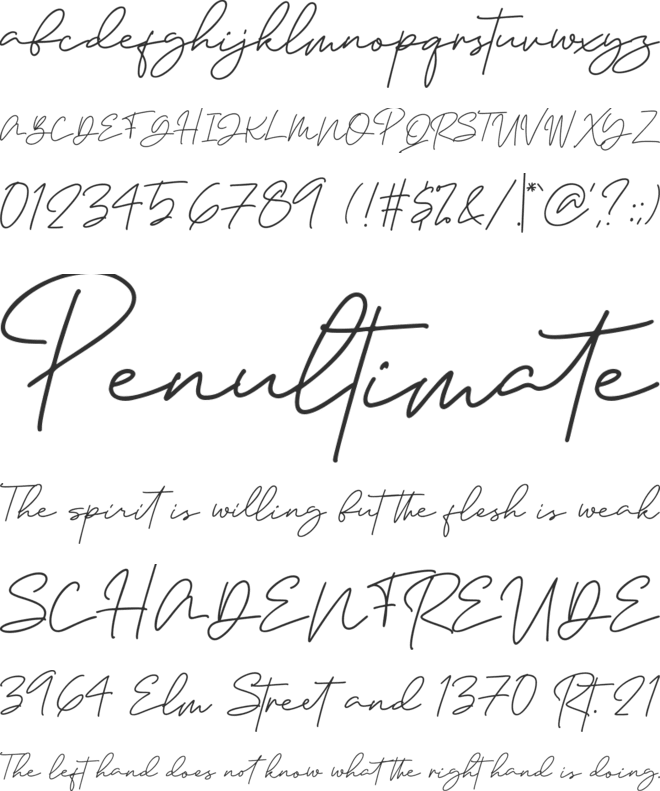 Janethville font preview