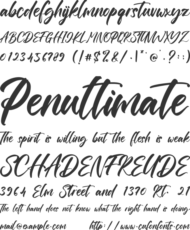 DianaZetta font preview