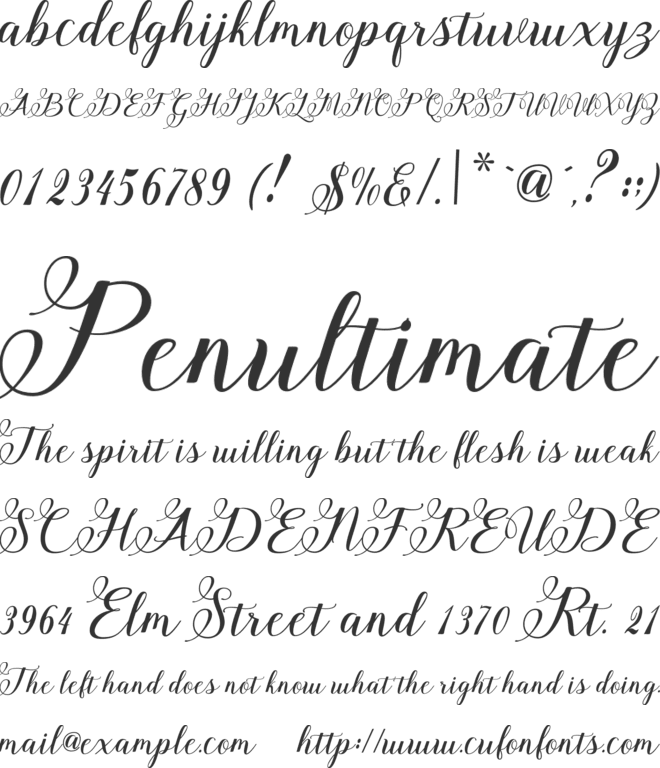 Nelga Script font preview