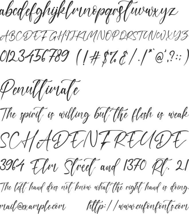 Bon Cheers font preview