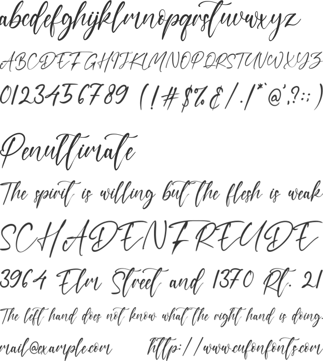 Bon Cheers font preview