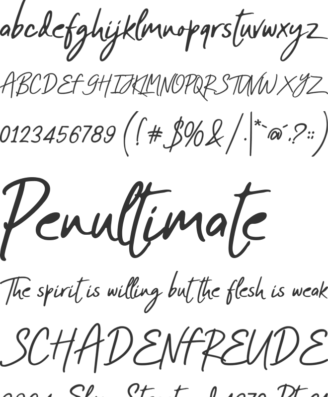 Ardolint Tijza font preview