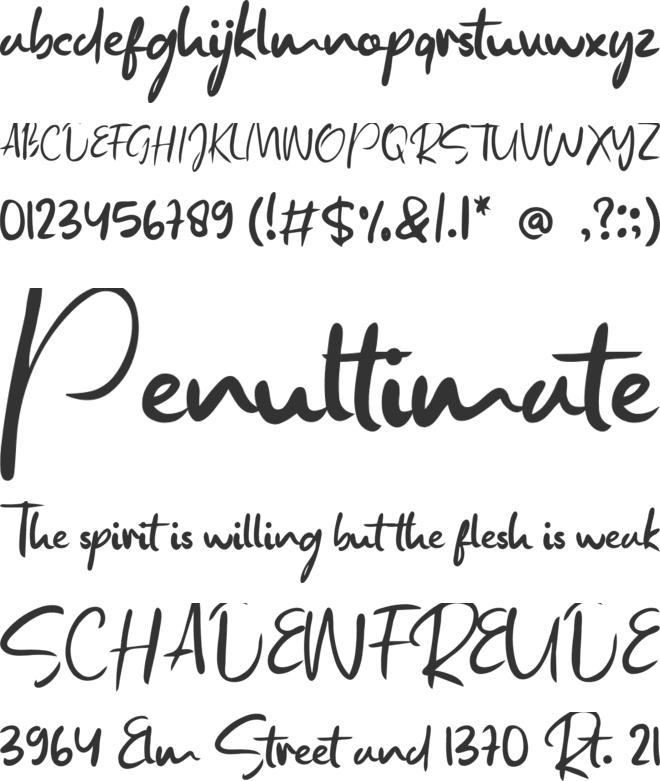 Windesia font preview