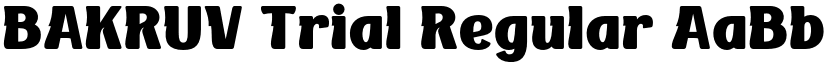 BAKRUV Trial Regular font