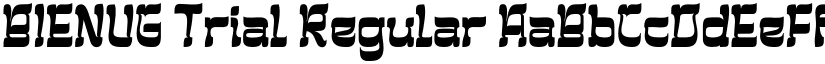 BIENUG Trial Regular font