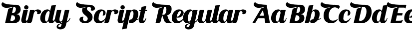 Birdy Script Regular font