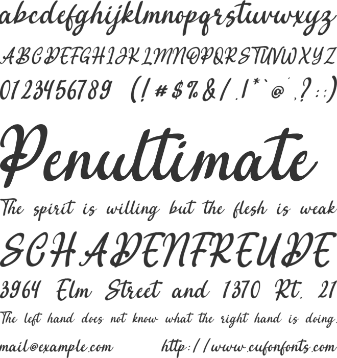 Avendita font preview
