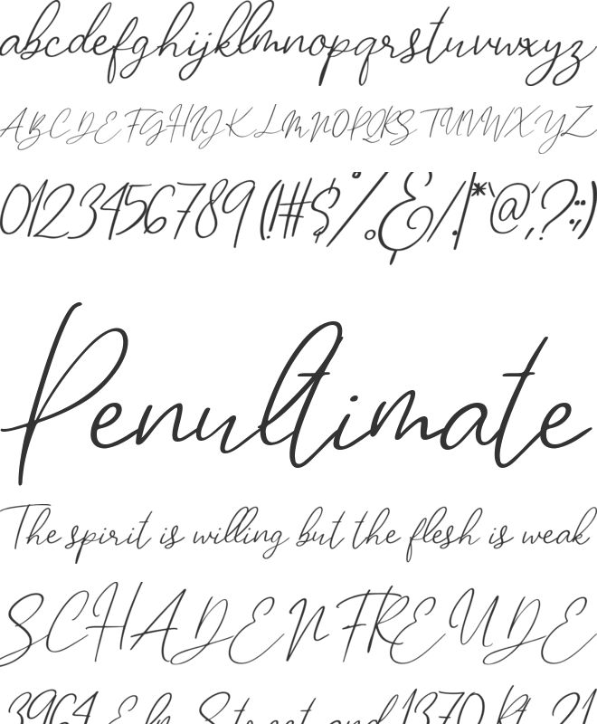 Katalia font preview