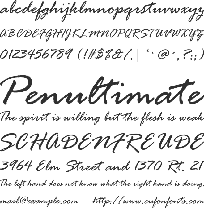 Rage Italic font preview