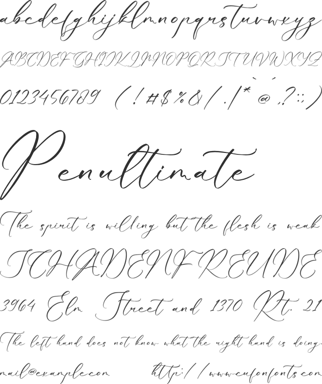 Qlouchester Westfild font preview
