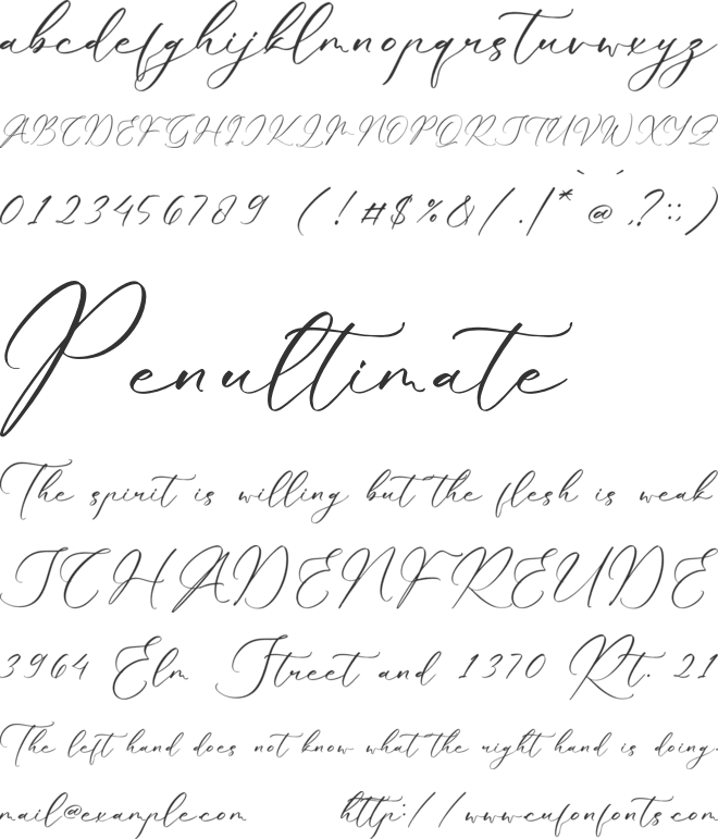 Qlouchester Westfild font preview