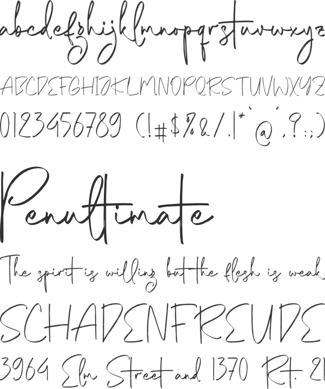 Robertsony font preview