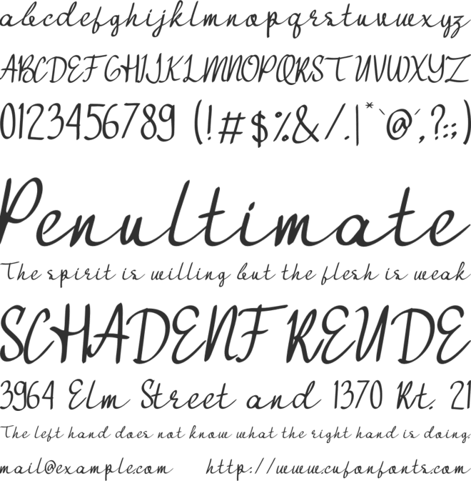 Continous Roll font preview