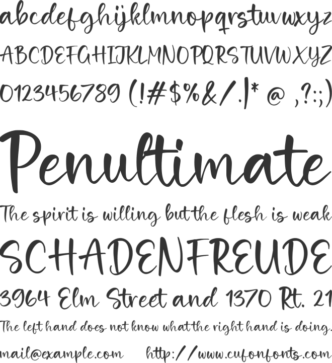 Seaside Tropics font preview