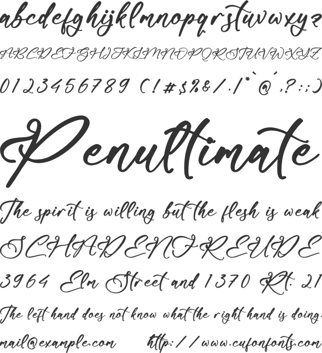 Nelsonlla Smithran font preview