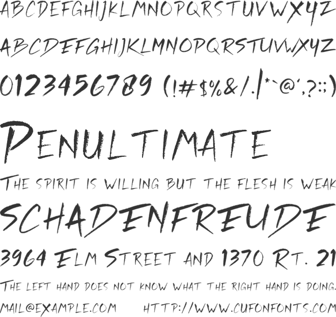 Rickies font preview