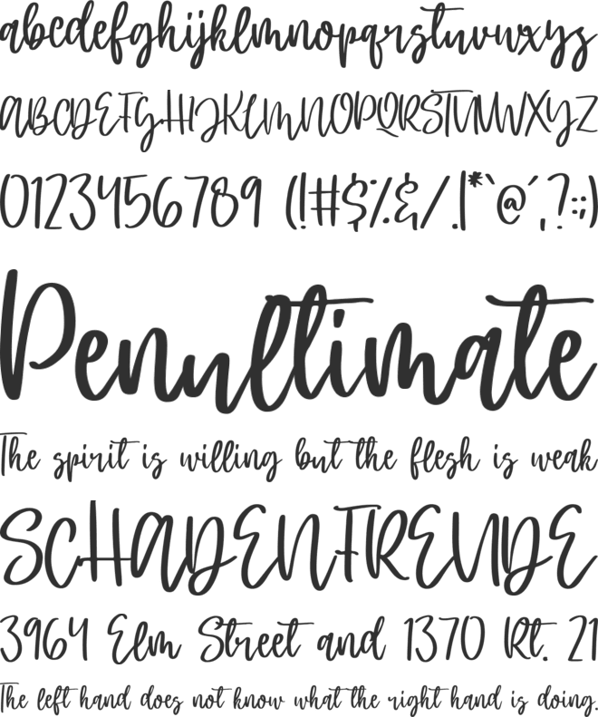 Shade font preview