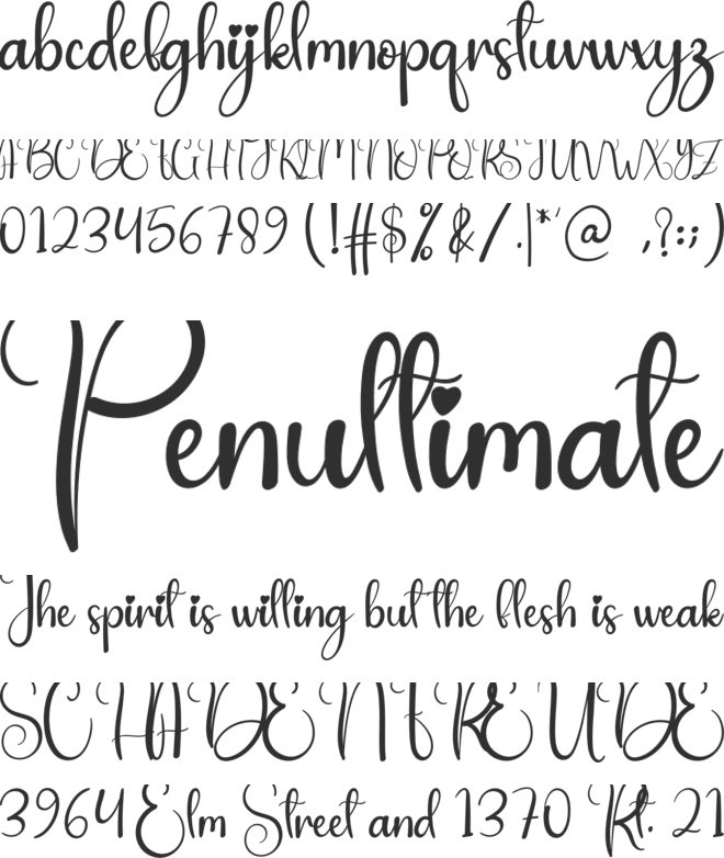 Saturday Wedding font preview