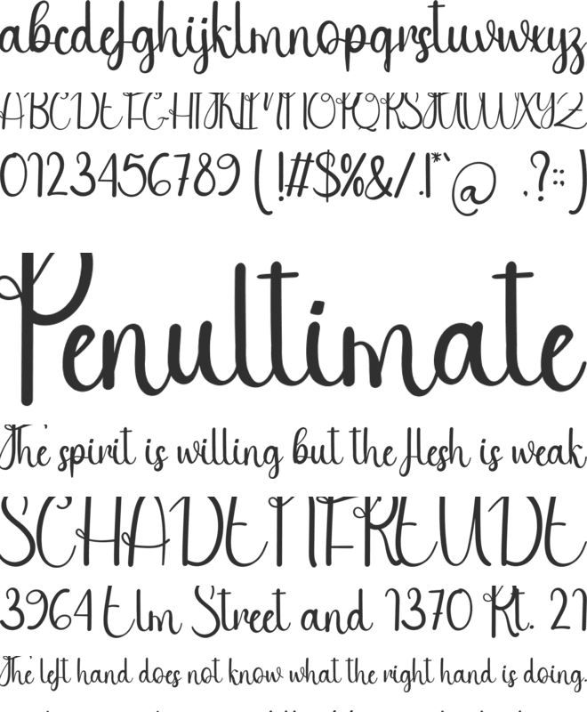 Style Night font preview