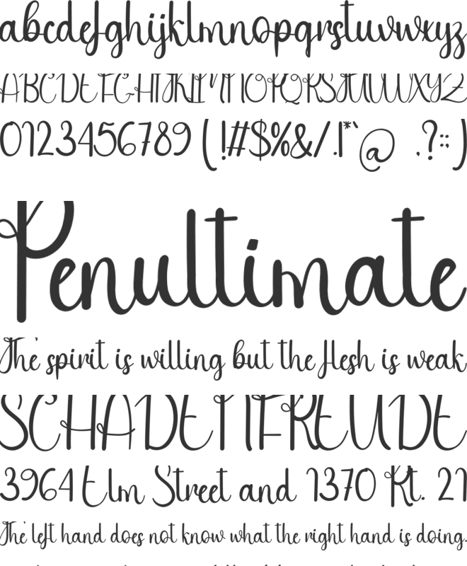 Style Night font preview