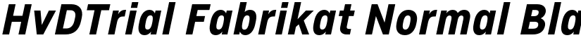 HvDTrial Fabrikat Normal Black Italic font