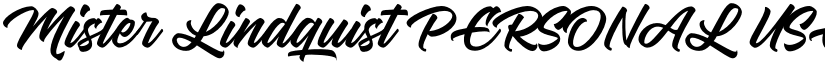 Mister Lindquist PERSONAL USE Regular font