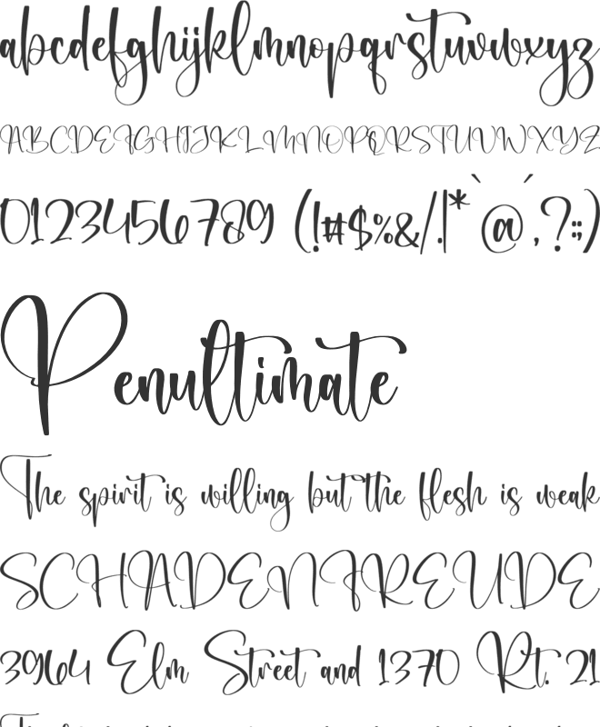 Cellarabel font preview