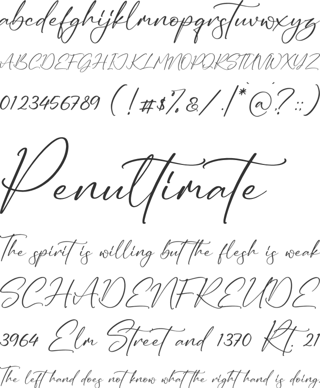 Ruliena font preview