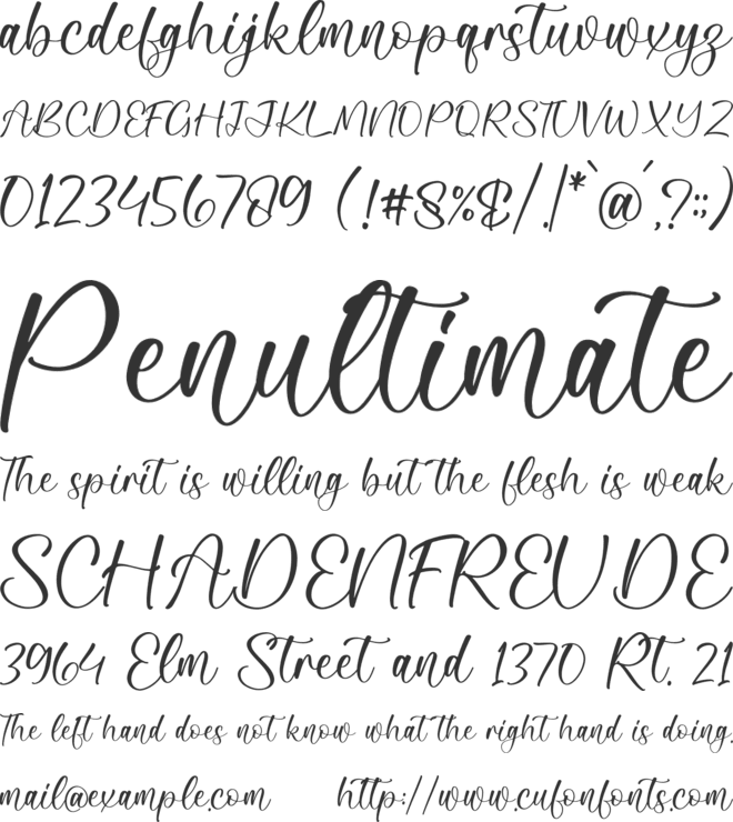 Kimberly Sonara font preview