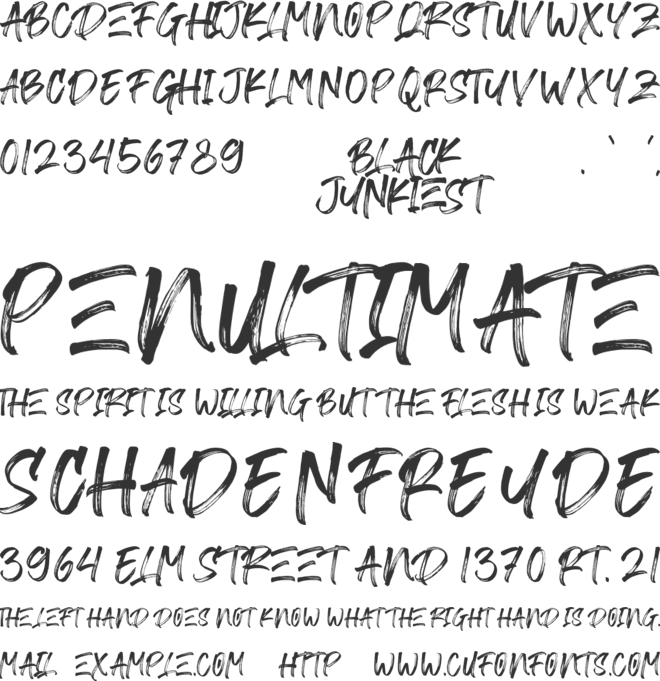 Black Junkiest font preview