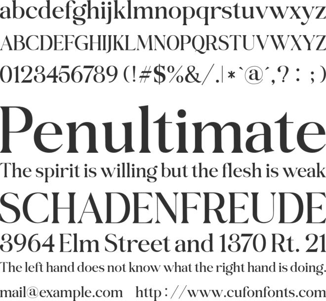Belgiano Serif font preview