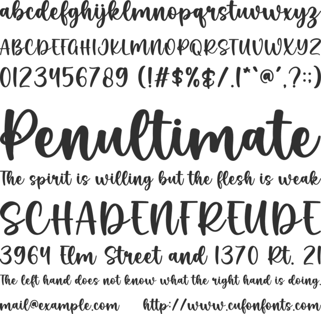 Peony Blossom font preview