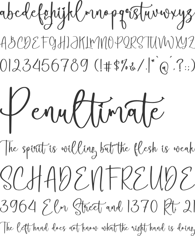 Monttoya Birdman font preview