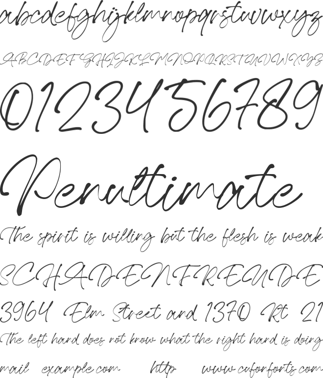 Loterio Script font preview