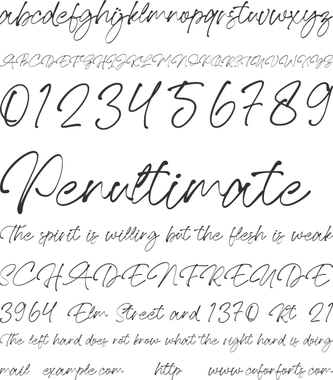 Loterio Script font preview