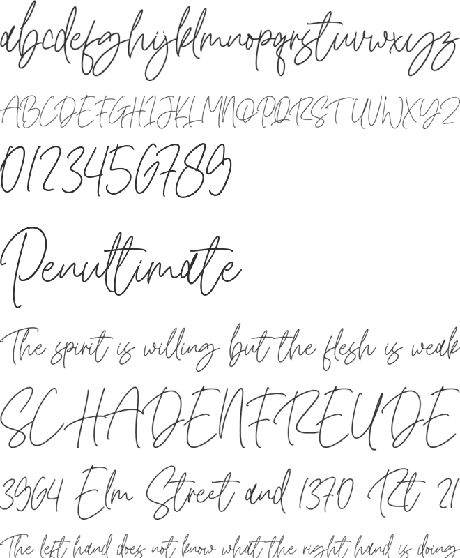 Romatine Signature font preview