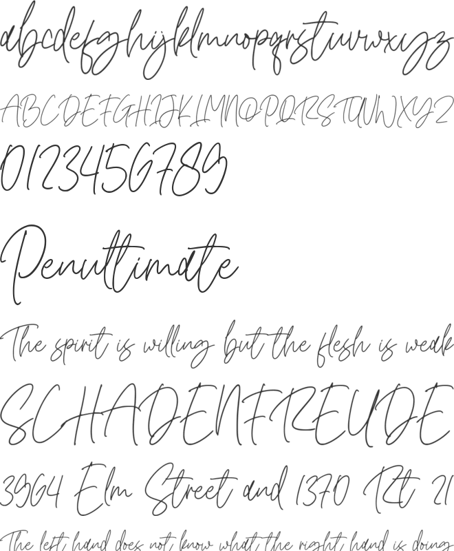 Romatine Signature font preview