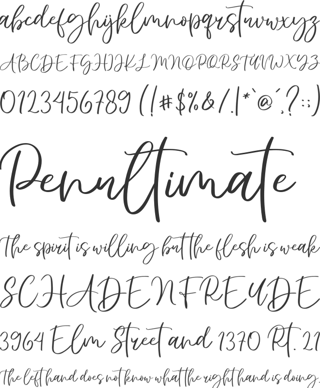 Naylans font preview