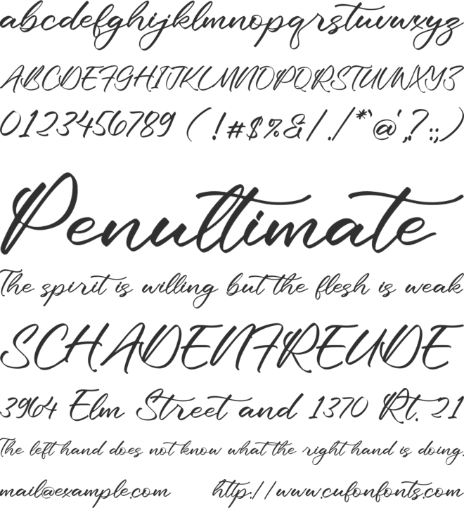 Cuanttica font preview