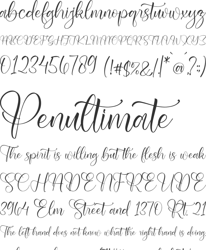 Shaquitta font preview