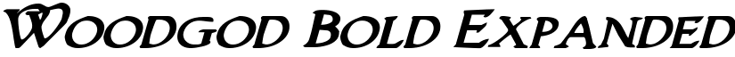 Woodgod Bold Expanded Italic Bold Expanded Italic font