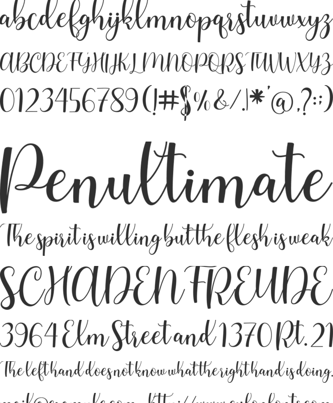 Smith Catrine font preview