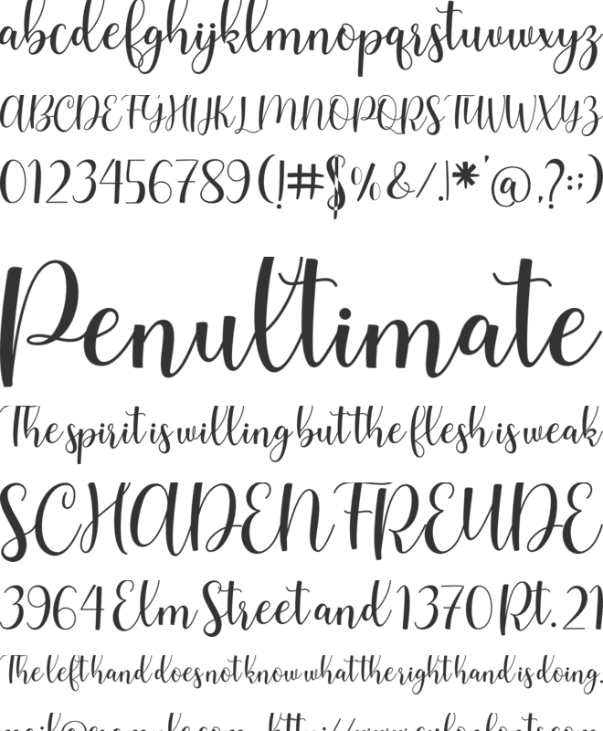 Smith Catrine font preview