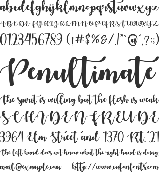 Sweet Floral font preview